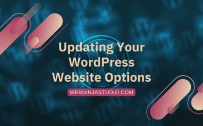 Updating Your WordPress Website Options